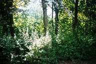 vergr&ouml;&szlig;ern � enlarge � agrandi