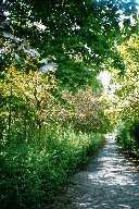 vergr&ouml;&szlig;ern � enlarge � agrandi