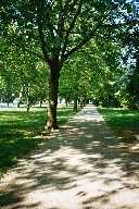 vergr&ouml;&szlig;ern � enlarge � agrandi