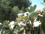 vergr&ouml;&szlig;ern &middot; enlarge &middot; agrandi